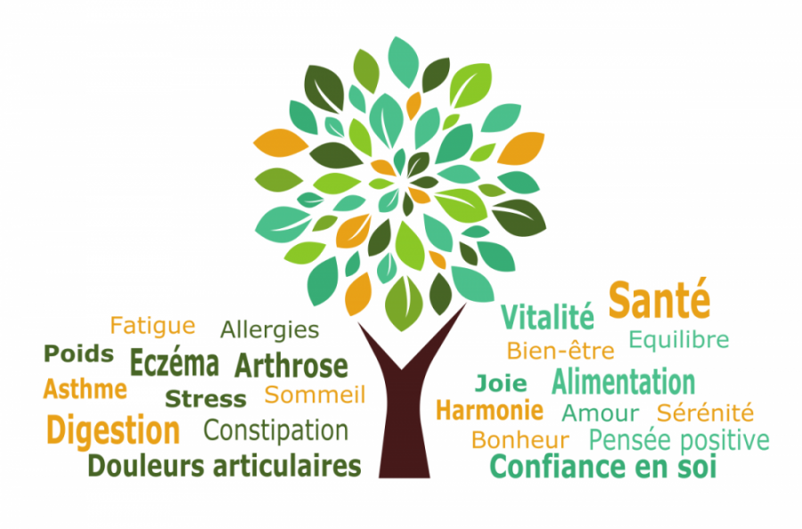 Tous les mercredi: Conseil d'une naturopathe à Condé Tous les mercredi: Conseil d'une naturopathe à Condé