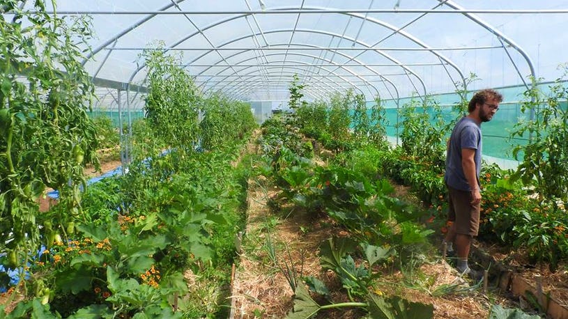 Ferme de Tanga Ferme de Tanga