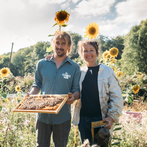 Petite abeille de Normandie